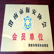 渭南市保安协会会员单位
