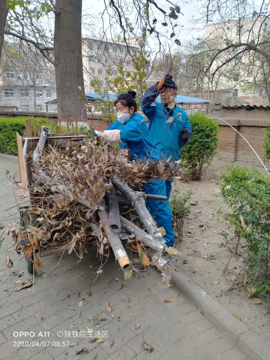 亚丰物业：项目修剪树枝 还居民春日阳光